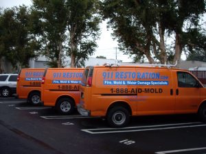 Water Damage Restoration in Arlington