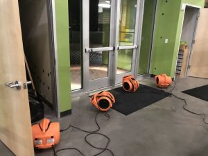 sewage cleanup air movers